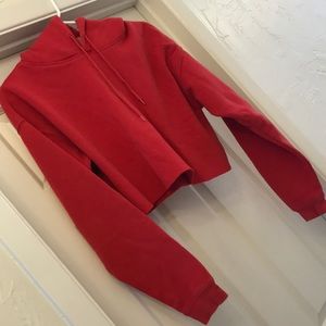 Urban Outfitters Cropped Hoodie